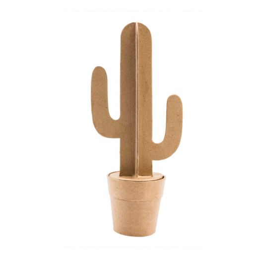 Cactus du désert boîte, petite